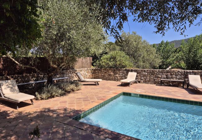 House in Le Plan-de-la-Tour - Stone house with pool in quiet environment near the sea