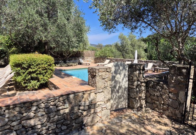 House in Le Plan-de-la-Tour - Stone house with pool in quiet environment near the sea