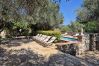 House in Le Plan-de-la-Tour - Stone house with pool in quiet environment near the sea