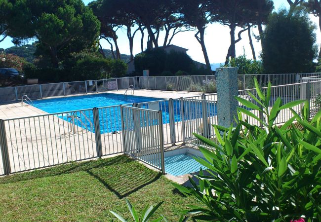 Studio in Sainte-Maxime - Appartment whit swimming pool in beautifull Park