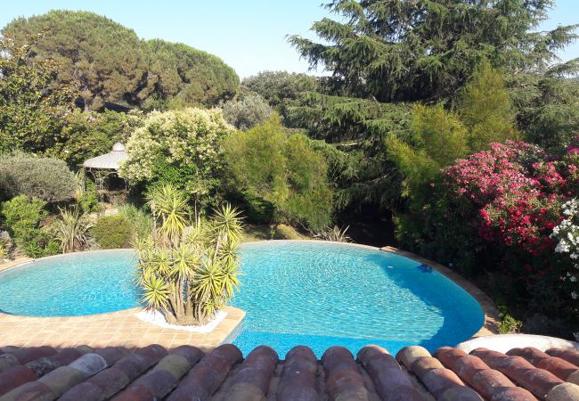 House in Le Plan-de-la-Tour - Charming house with swimming pool,  a few minutes from the village 