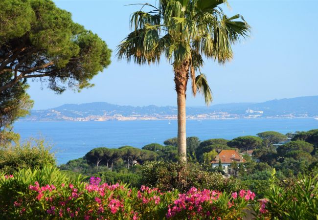 House in Sainte-Maxime - Single storey villa with sea view and pool - access to beaches 