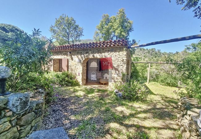 House in Le Plan-de-la-Tour - MAISON EN PLEINE NATURE AVEC PISCINE