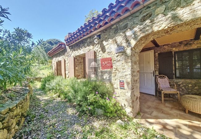 House in Le Plan-de-la-Tour - MAISON EN PLEINE NATURE AVEC PISCINE