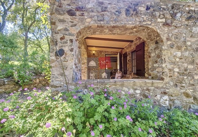 House in Le Plan-de-la-Tour - MAISON EN PLEINE NATURE AVEC PISCINE