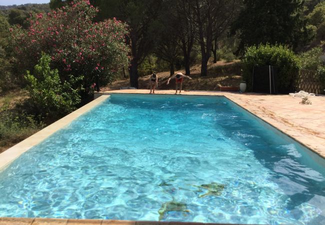  in Le Plan-de-la-Tour - MAISON EN PLEINE NATURE AVEC PISCINE