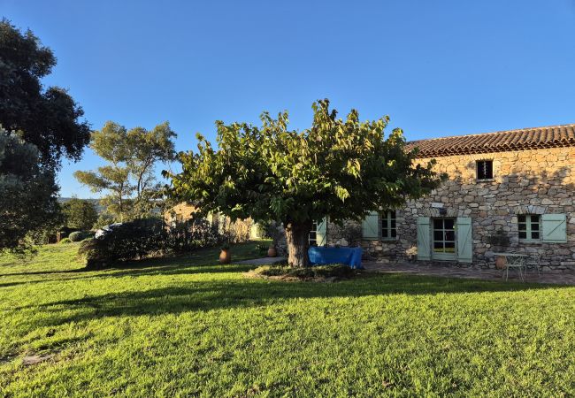 Villa in Le Plan-de-la-Tour - Bastide en pierre avec piscine