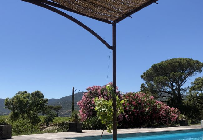 Villa in Le Plan-de-la-Tour - Bastide en pierre avec piscine