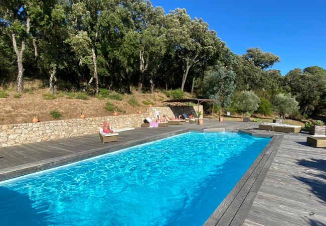 Villa in Le Plan-de-la-Tour - Bastide en pierre avec piscine