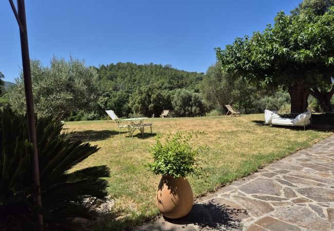 Villa in Le Plan-de-la-Tour - Bastide en pierre avec piscine