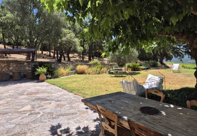 Villa in Le Plan-de-la-Tour - Bastide en pierre avec piscine