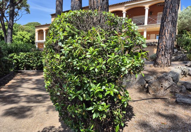 Apartment in Sainte-Maxime - APPARTEMENT LES ARBOUSIERS