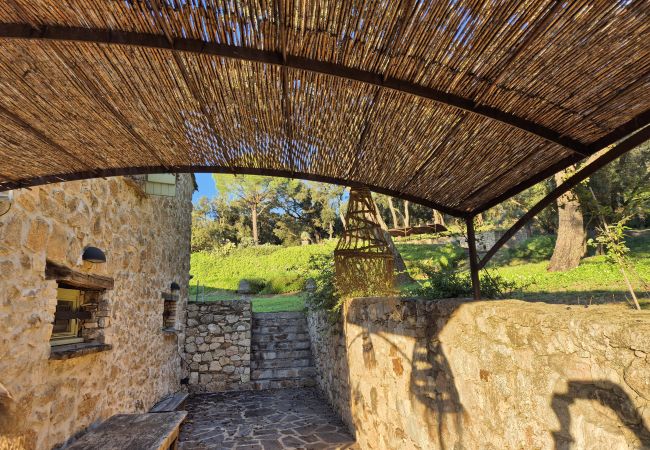 Villa à Le Plan-de-la-Tour - Bastide en pierre avec piscine