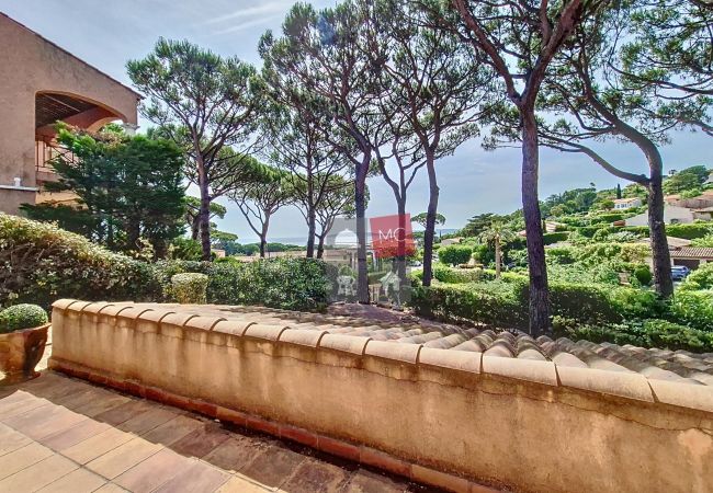 Appartement à Sainte-Maxime - APPARTEMENT LES ARBOUSIERS