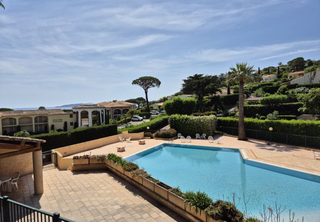 Appartement à Sainte-Maxime - APPARTEMENT LES ARBOUSIERS