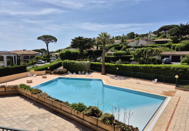Appartement à Sainte-Maxime - APPARTEMENT LES ARBOUSIERS