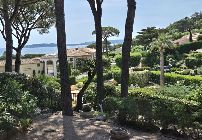 Appartement à Sainte-Maxime - APPARTEMENT LES ARBOUSIERS