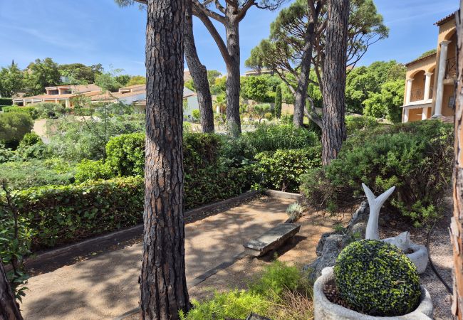 Appartement à Sainte-Maxime - APPARTEMENT LES ARBOUSIERS