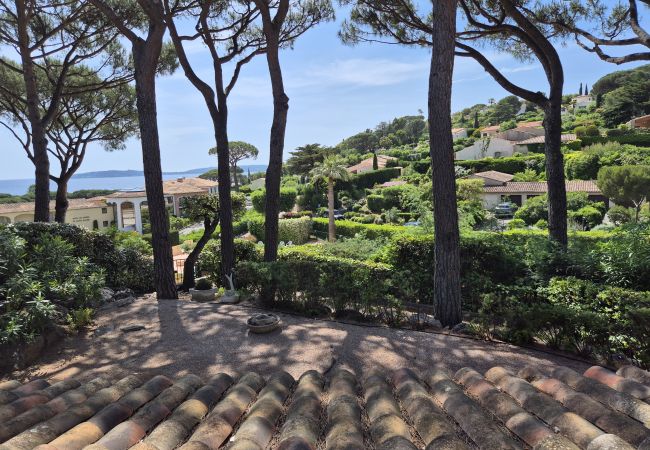 Appartement à Sainte-Maxime - APPARTEMENT LES ARBOUSIERS