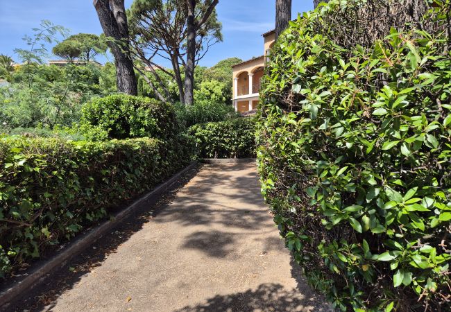 Appartement à Sainte-Maxime - APPARTEMENT LES ARBOUSIERS