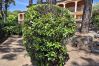 Appartement à Sainte-Maxime - APPARTEMENT LES ARBOUSIERS